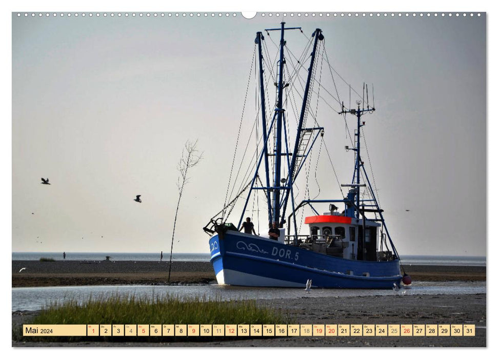 La mer des Wadden - 2024 (Calendrier mural CALVENDO 2024) 