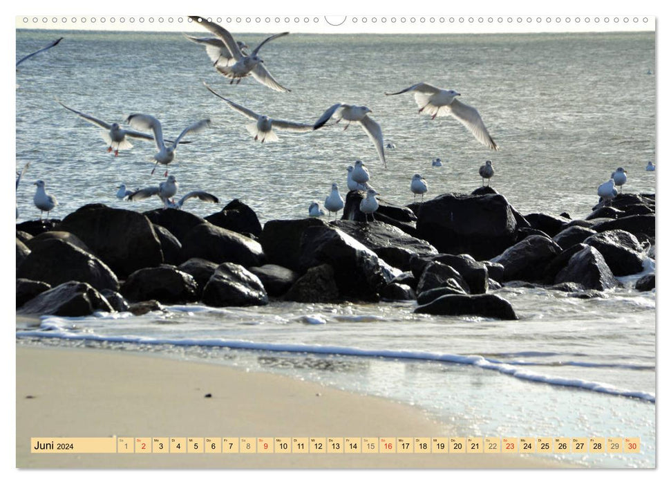 The Wadden Sea - 2024 (CALVENDO wall calendar 2024) 