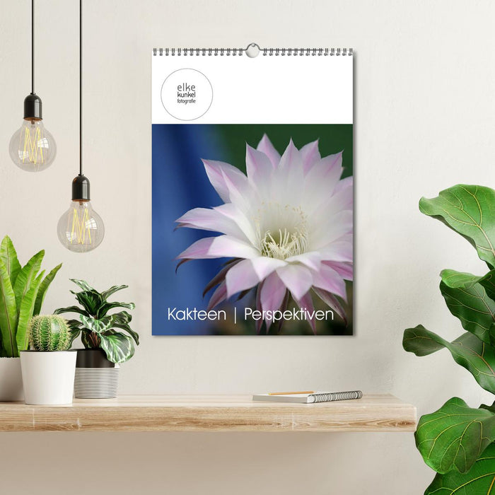 Cacti perspectives (CALVENDO wall calendar 2024) 