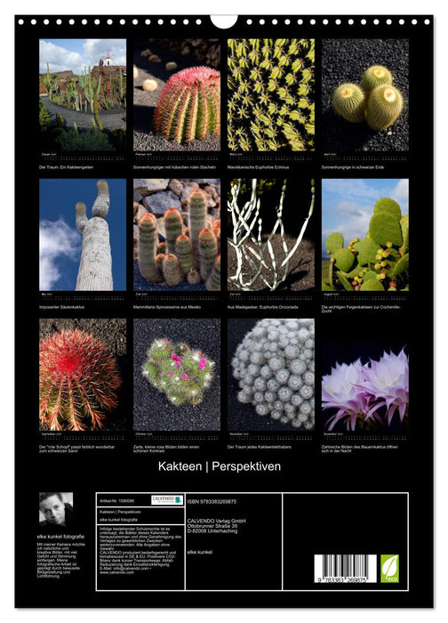 Cacti perspectives (CALVENDO wall calendar 2024) 