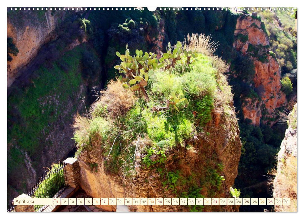 Ronda - Une ville d'Andalousie (Calendrier mural CALVENDO 2024) 