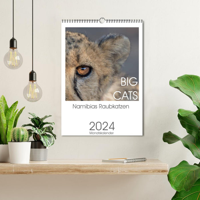 BIG CATS - Les grands félins de Namibie (Calendrier mural CALVENDO 2024) 