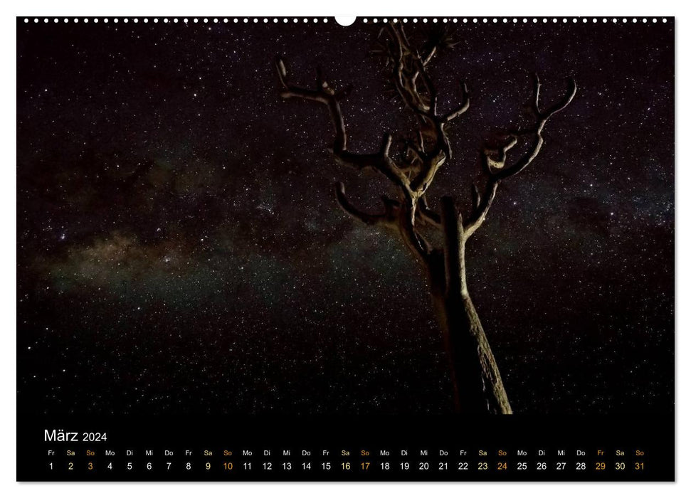 Namibie - vaste terre sauvage (Calvendo Premium Wall Calendar 2024) 