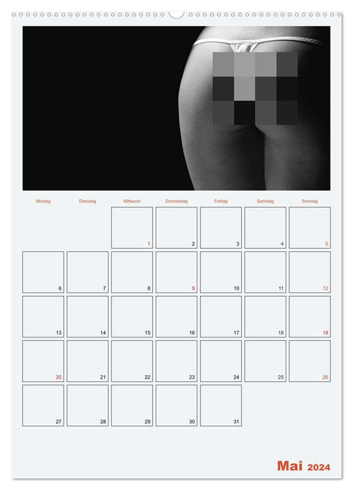 Erotik. Sinnliche Rundungen (CALVENDO Premium Wandkalender 2024)