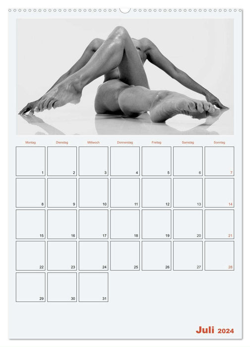 Erotik. Sinnliche Rundungen (CALVENDO Premium Wandkalender 2024)