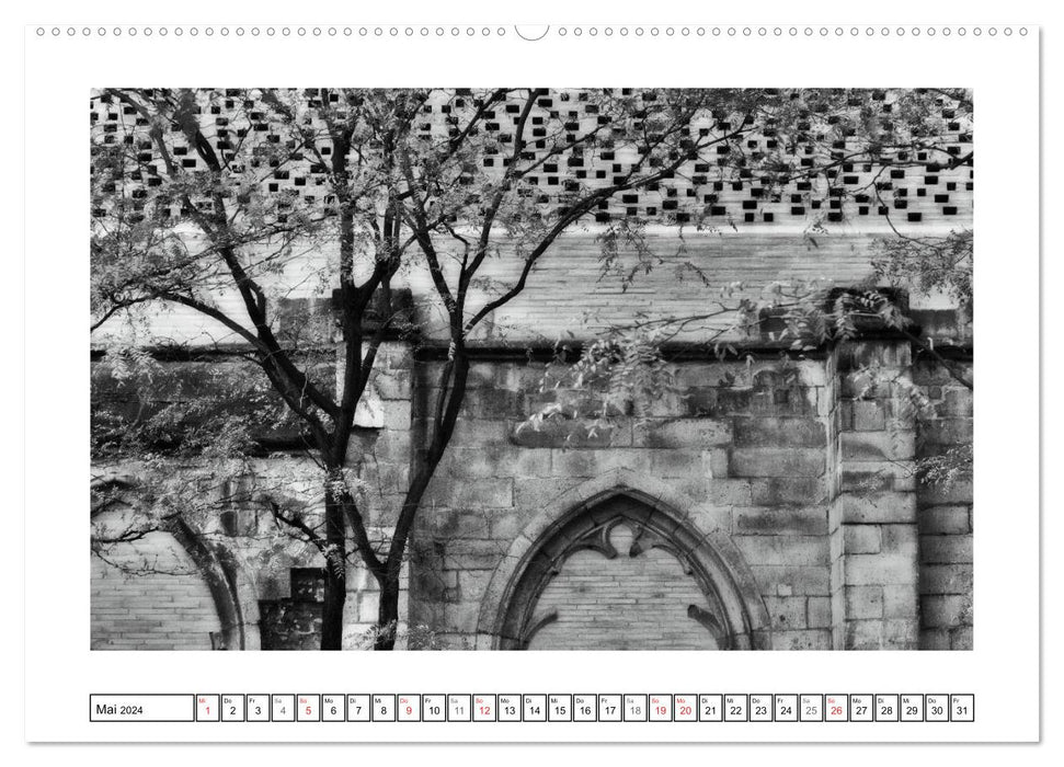 GRAPHIQUES DANS L'ARCHITECTURE (Calendrier mural CALVENDO Premium 2024) 