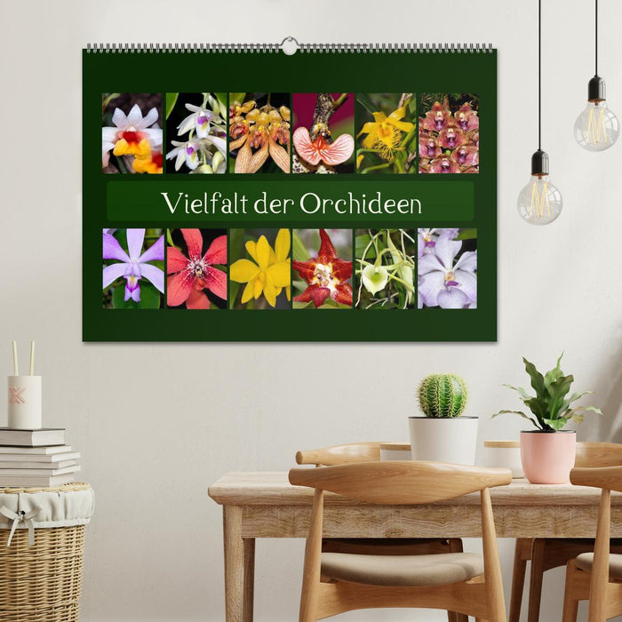 Vielfalt der Orchideen (CALVENDO Wandkalender 2024)