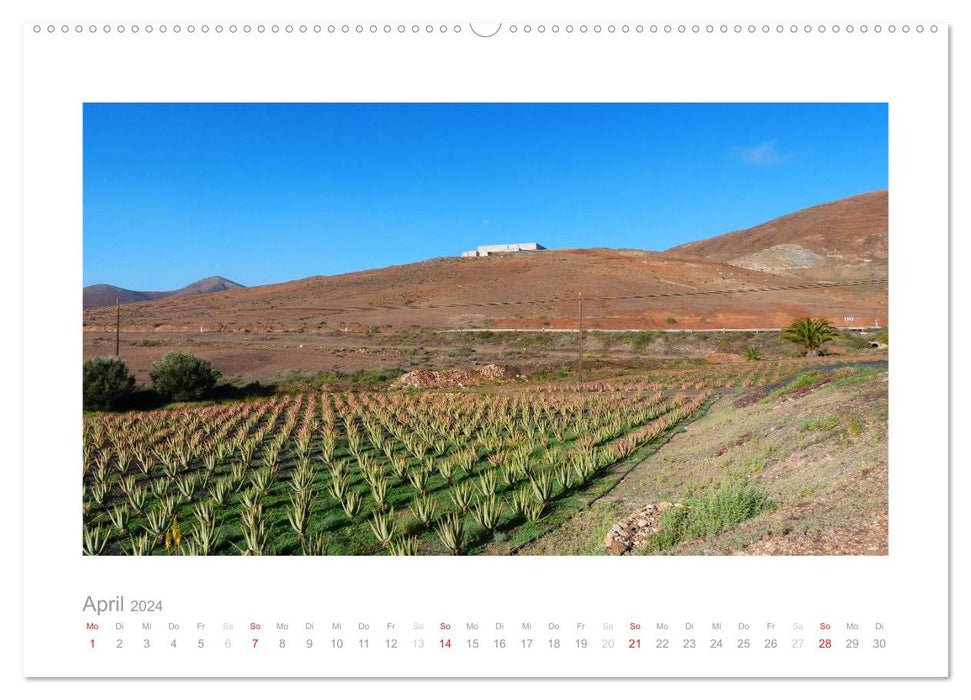 Quer durch Fuerteventura (CALVENDO Wandkalender 2024)