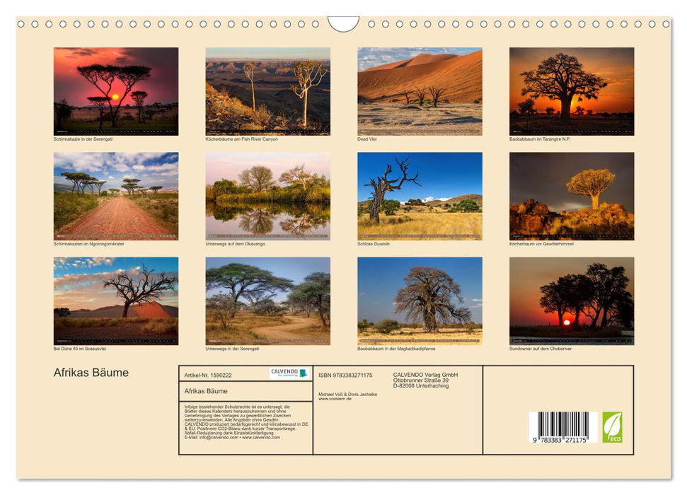 Les arbres d'Afrique (Calendrier mural CALVENDO 2024) 