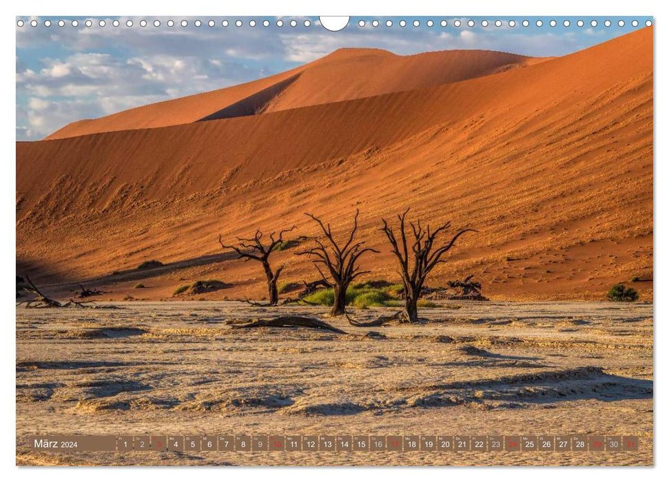 Les arbres d'Afrique (Calendrier mural CALVENDO 2024) 