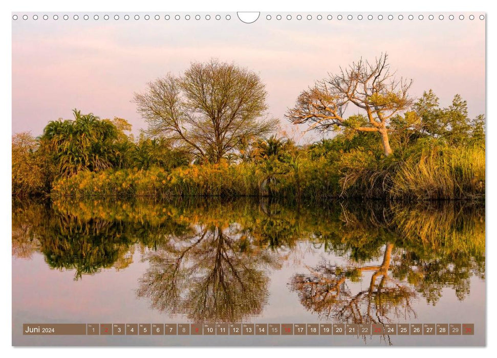 Afrikas Bäume (CALVENDO Wandkalender 2024)