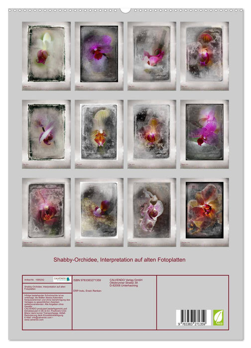 Shabby - orchid, interpretation on old photo plates (CALVENDO Premium Wall Calendar 2024) 