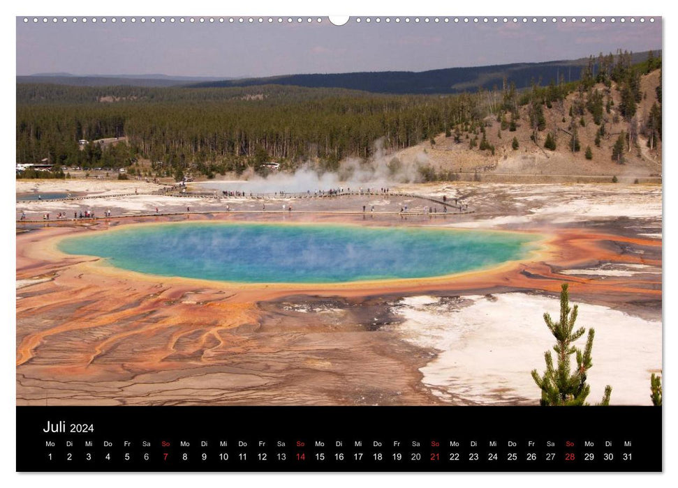 Yellowstone Impressionen (CALVENDO Premium Wandkalender 2024)