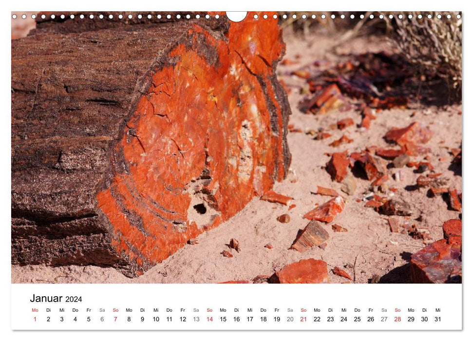 Rocks and stones in fantastic colors and shapes (CALVENDO wall calendar 2024) 
