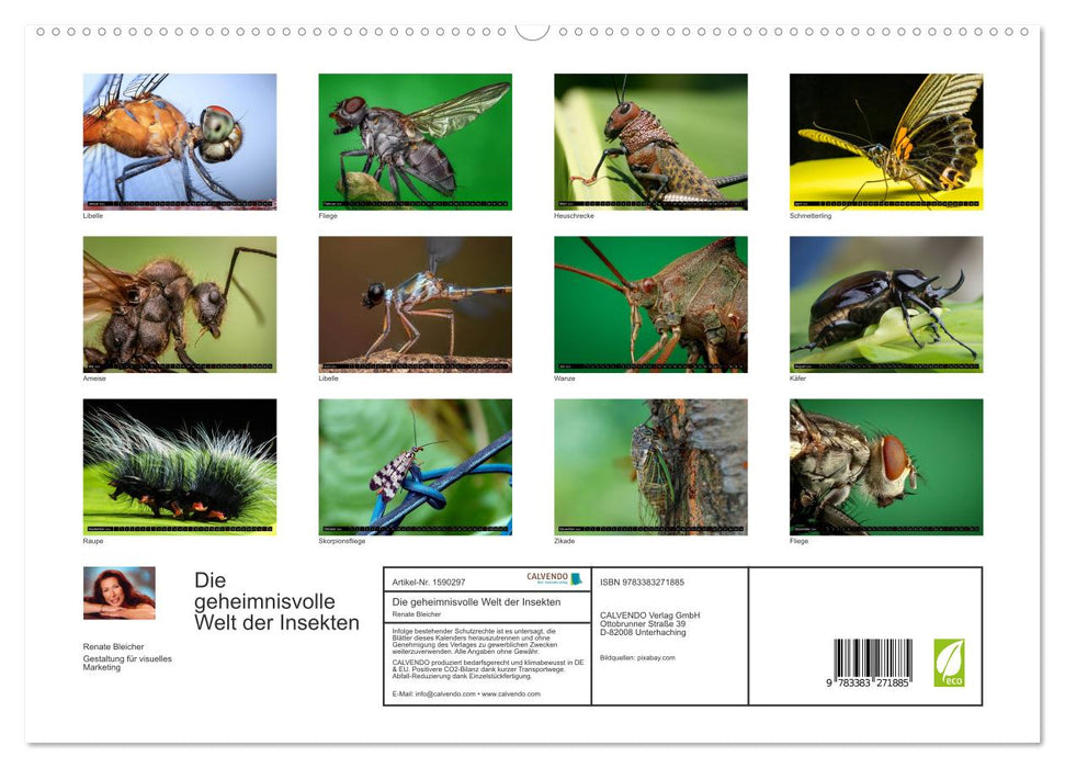 Le monde mystérieux des insectes (Calendrier mural CALVENDO Premium 2024) 