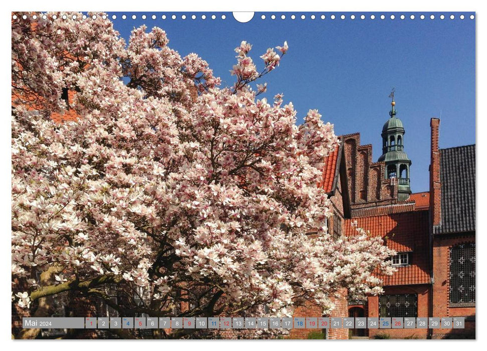 Lüneburg - Eine mittelalterliche und romantische Hansestadt (CALVENDO Wandkalender 2024)