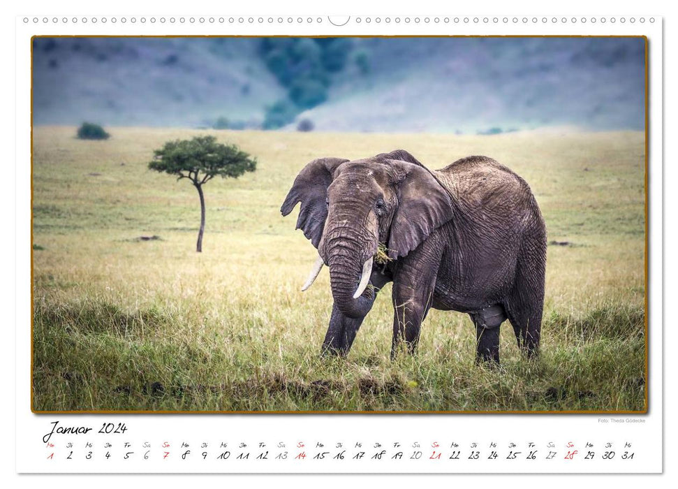 Abenteuer Masai Mara (CALVENDO Wandkalender 2024)