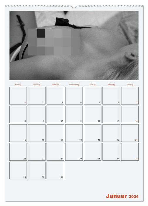 Erotik. Sinnliche Rundungen (CALVENDO Wandkalender 2024)