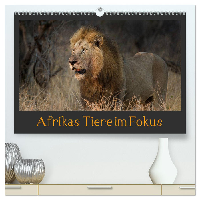 Afrikas Tiere im Fokus (CALVENDO Premium Wandkalender 2024)