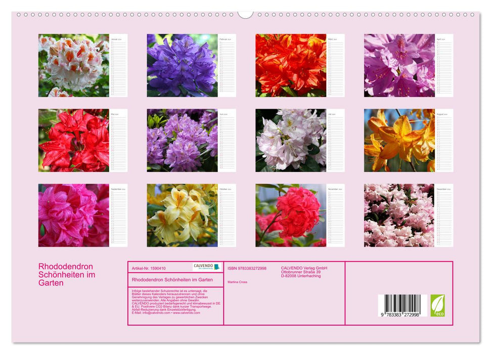Rhododendron beauties in the garden (CALVENDO Premium Wall Calendar 2024) 