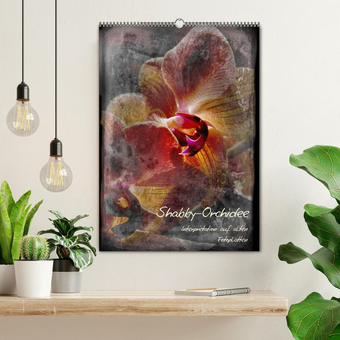 Shabby - Orchidee, Interpretation auf alten Fotoplatten (CALVENDO Wandkalender 2024)