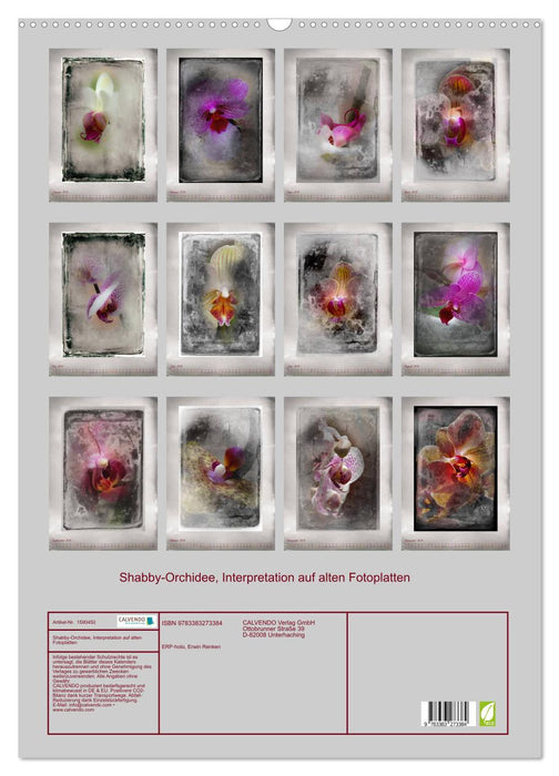 Shabby - Orchidee, Interpretation auf alten Fotoplatten (CALVENDO Wandkalender 2024)