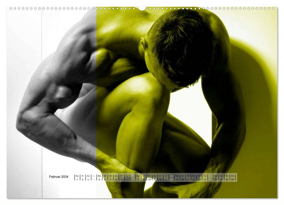 Naked men behind the colors – Ästhetische Aktfotografien (CALVENDO Premium Wandkalender 2024)