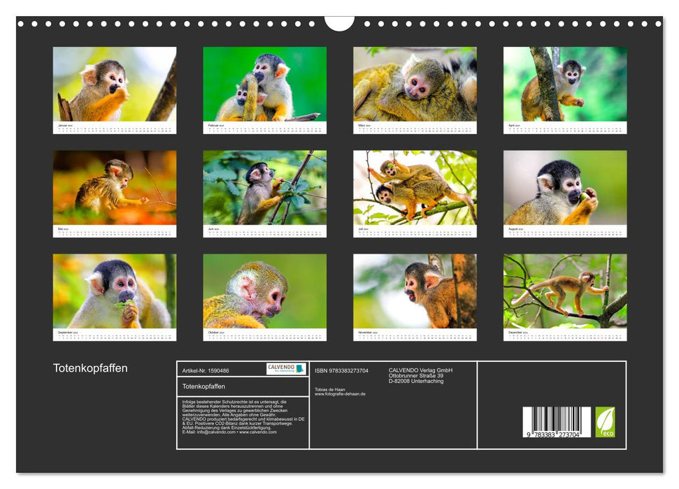 Squirrel monkeys (CALVENDO wall calendar 2024) 