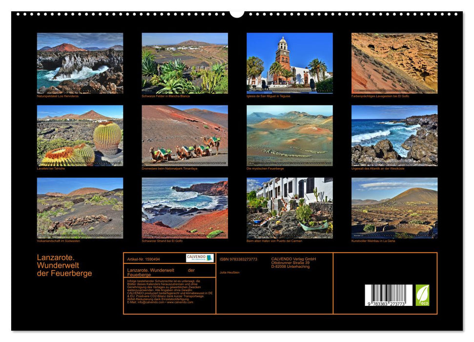 Lanzarote. Wunderwelt der Feuerberge (CALVENDO Premium Wandkalender 2024)