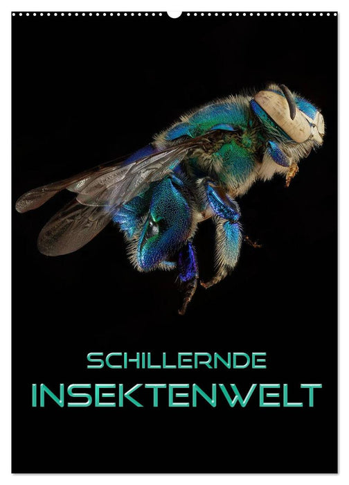 Schillernde Insektenwelt (CALVENDO Wandkalender 2024)