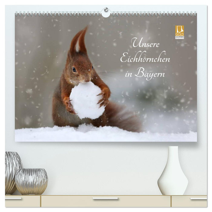 Unsere Eichhörnchen in Bayern (CALVENDO Premium Wandkalender 2024)