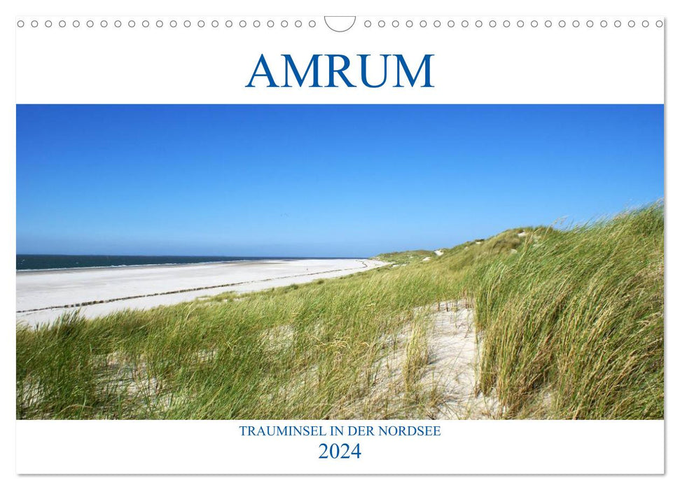 Amrum – île de rêve dans la mer du Nord (calendrier mural CALVENDO 2024) 