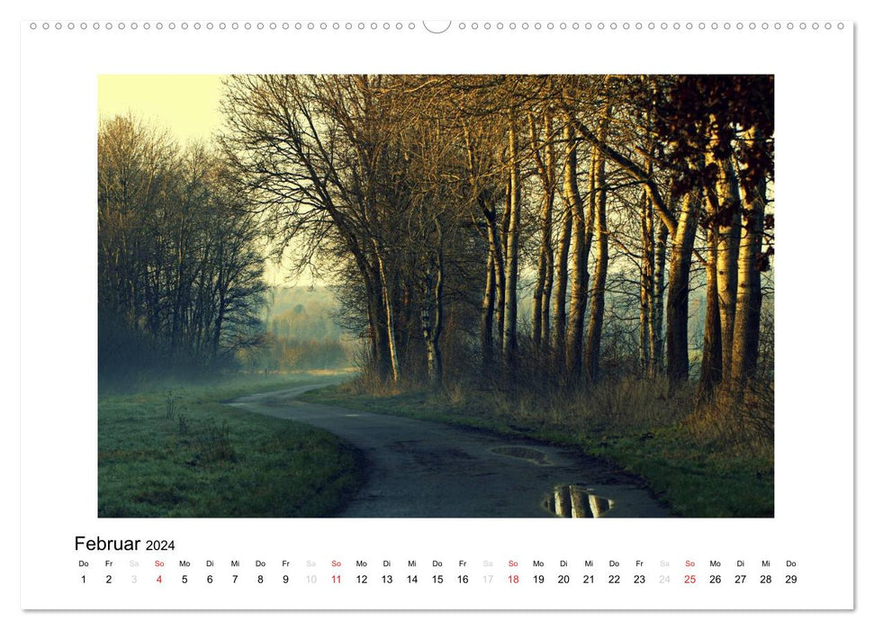 Winter im Teufelsmoor (CALVENDO Premium Wandkalender 2024)