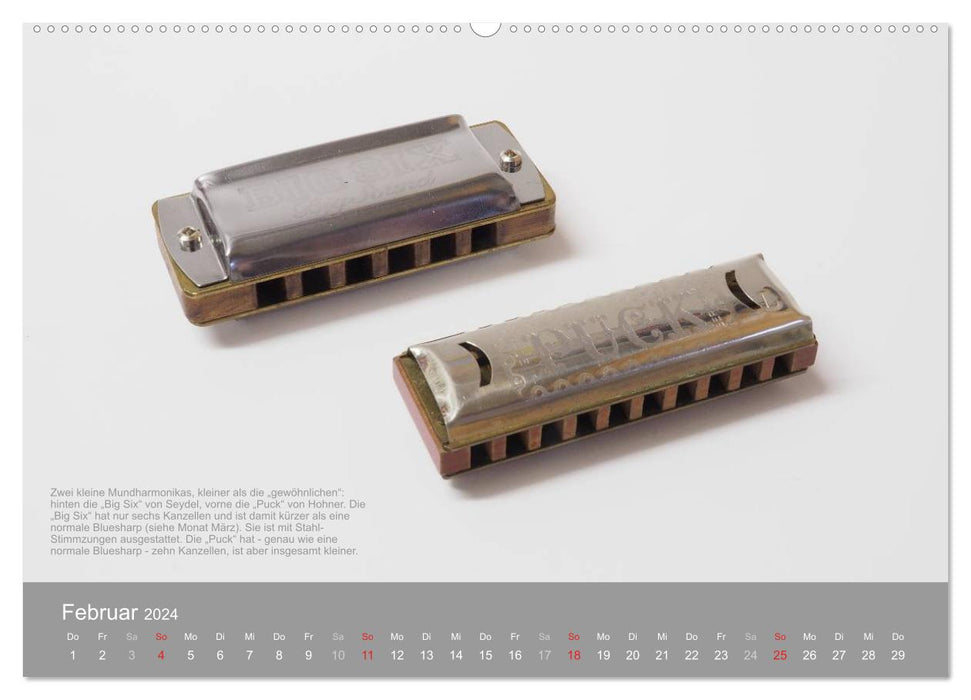 Focus sur les harmonicas (calendrier mural CALVENDO 2024) 