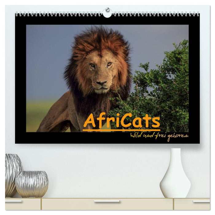 AfriCats (CALVENDO Premium Wandkalender 2024)