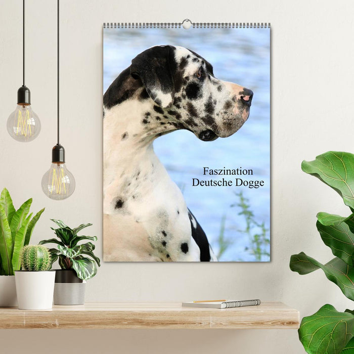 Fascination Dogue Allemand (Calendrier mural CALVENDO 2024) 