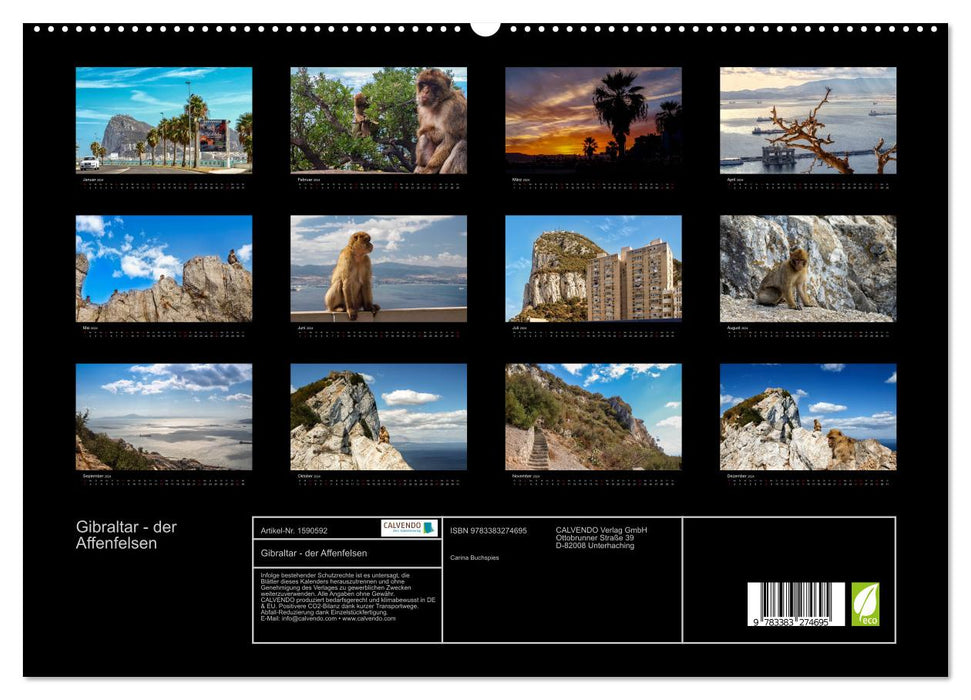 Gibraltar – le rocher des singes (calendrier mural CALVENDO Premium 2024) 