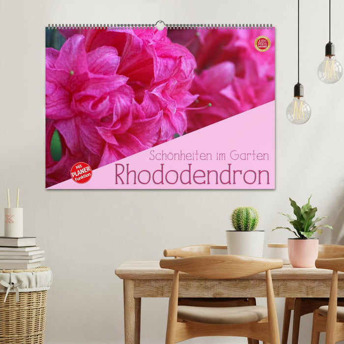 Beautés des rhododendrons dans le jardin (Calendrier mural CALVENDO 2024) 