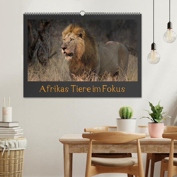 Focus sur les animaux d'Afrique (Calendrier mural CALVENDO 2024) 