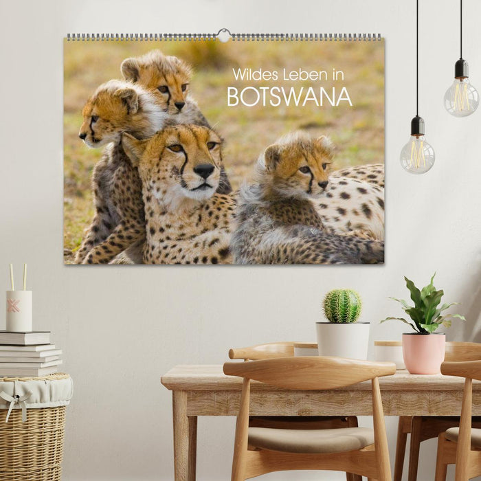 La vie sauvage au Botswana (calendrier mural CALVENDO 2024) 