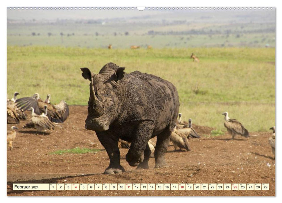 Wildes Leben in Botswana (CALVENDO Wandkalender 2024)