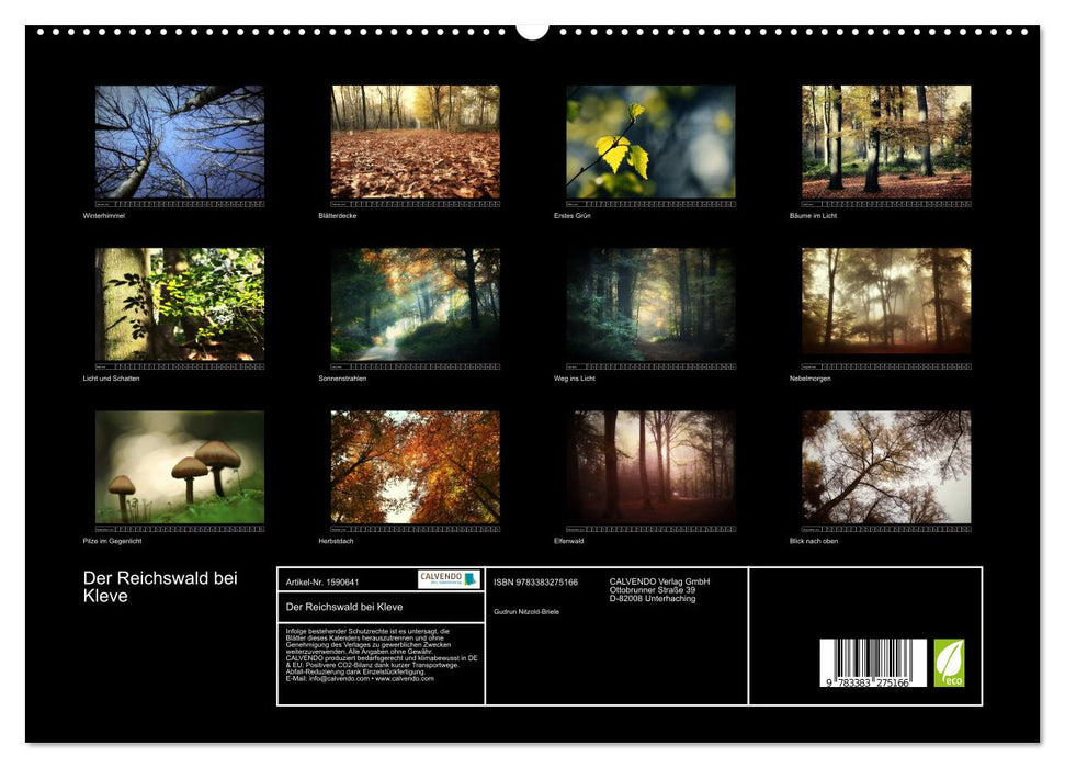 Der Reichswald bei Kleve (CALVENDO Premium Wandkalender 2024)