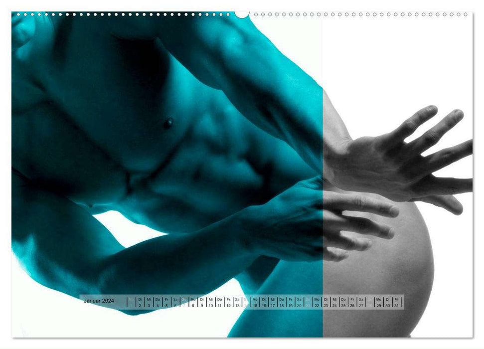 Des hommes nus derrière les couleurs – photographies de nu esthétiques (Calendrier mural CALVENDO 2024) 