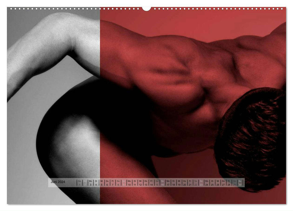 Des hommes nus derrière les couleurs – photographies de nu esthétiques (Calendrier mural CALVENDO 2024) 