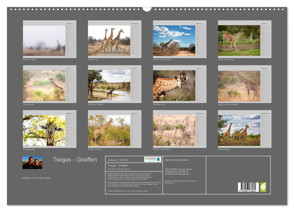 Twigas - Giraffes (CALVENDO wall calendar 2024) 