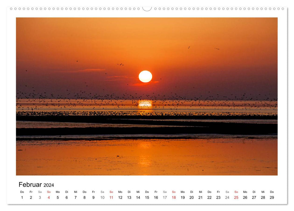 East Frisia - Tour (CALVENDO wall calendar 2024) 