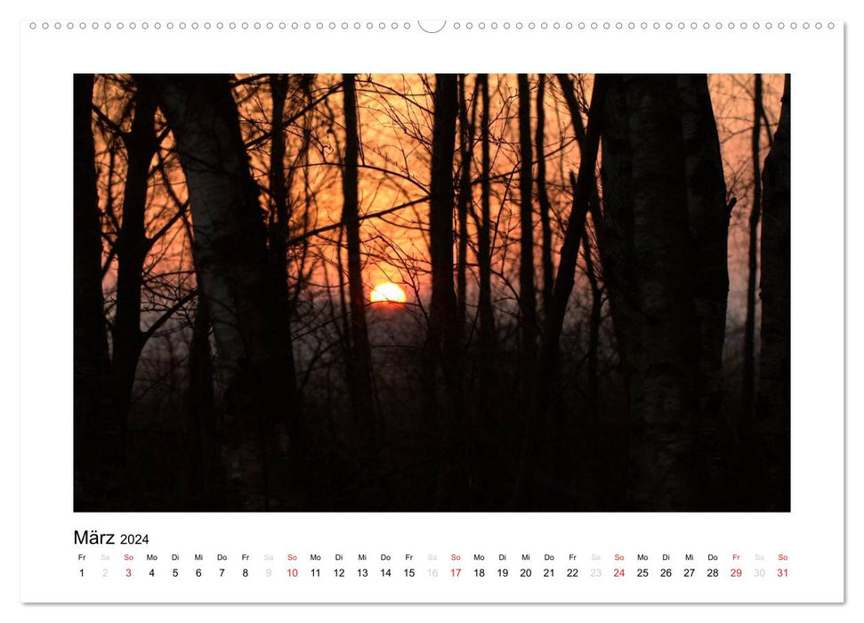 Winter im Teufelsmoor (CALVENDO Wandkalender 2024)