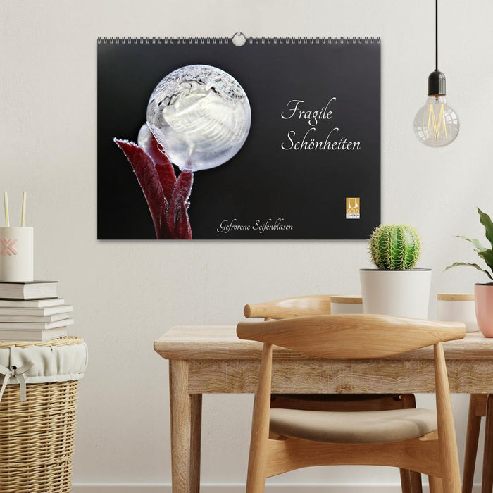 Fragile Beauties - Frozen Soap Bubbles (CALVENDO Wall Calendar 2024) 