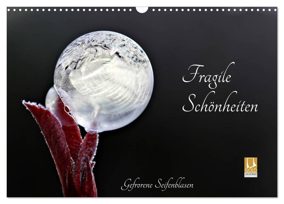 Fragile Beauties - Frozen Soap Bubbles (CALVENDO Wall Calendar 2024) 