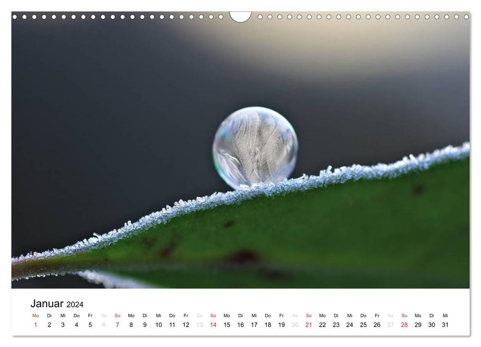 Fragile Beauties - Frozen Soap Bubbles (CALVENDO Wall Calendar 2024) 